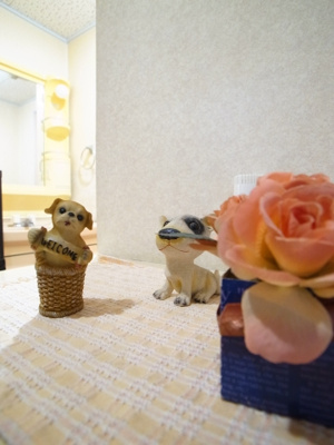 【その他】 | 末広サンフレアA | お問合せ待ってるワン！