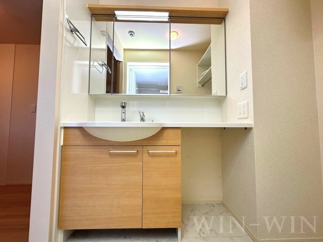 オアシス西小鷹野の独立洗面台