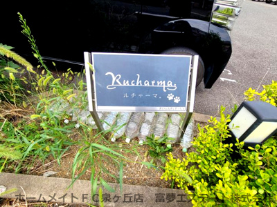 【エントランス】 | ルチャーマ