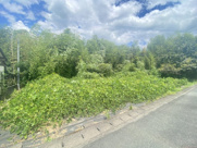 松橋町松橋　土地　107坪の画像