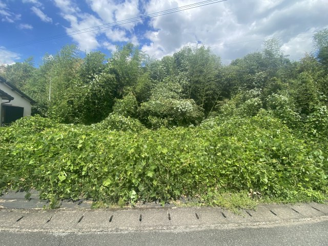 【外観】 | 松橋町松橋　土地　107坪 | 現地写真（8月29日撮影）