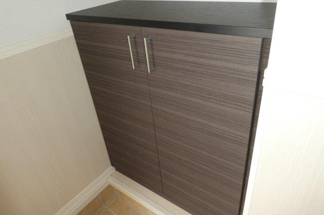 ピゴラーレⅡの内装|シューズボックス