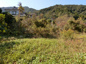 平川町　売地の画像