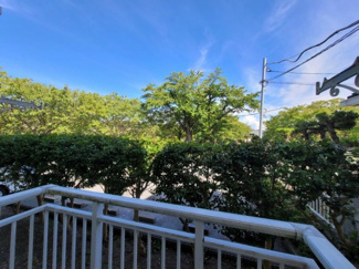 【展望】 | アパートの前は公園、平田川の桜並木通りで、日当たりの良い物件ですよ！