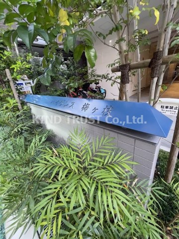 ハイデンス梅ヶ枝のエントランス