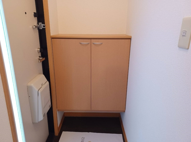 セジュールRのその他