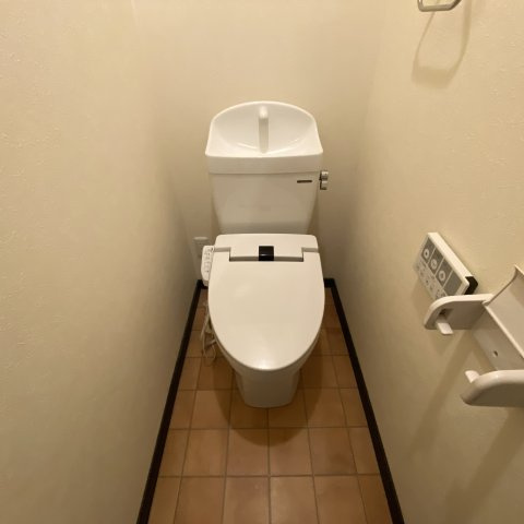 セントウレアのトイレ