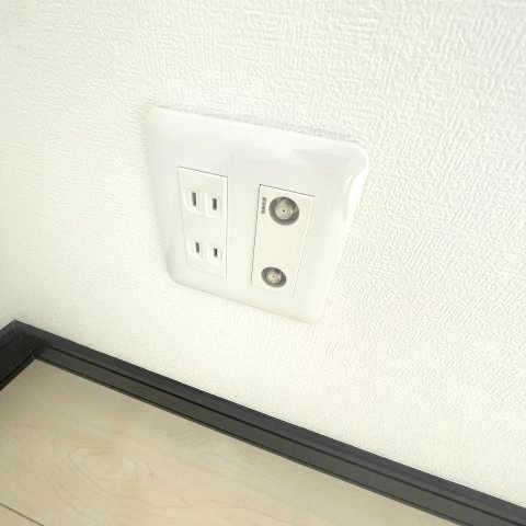 セントウレアの設備