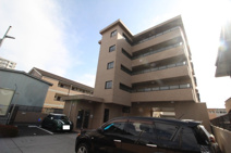 エルフィンの画像