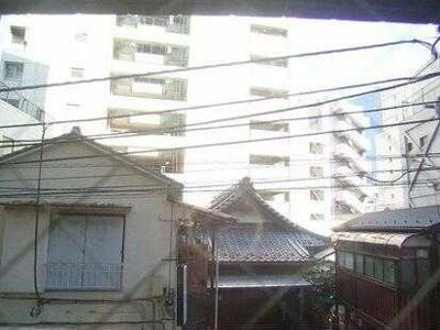 【展望】 | トーシンフェニックス芝アストラーレ