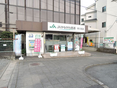 ＪＡかながわ西湘早川支店まで1100m