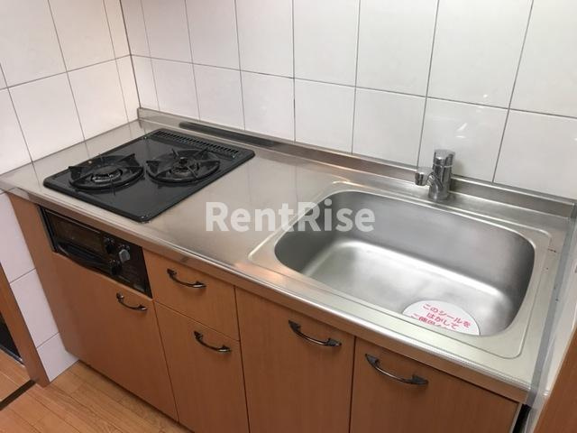 ルミエール シャトーのキッチン|システムキッチン