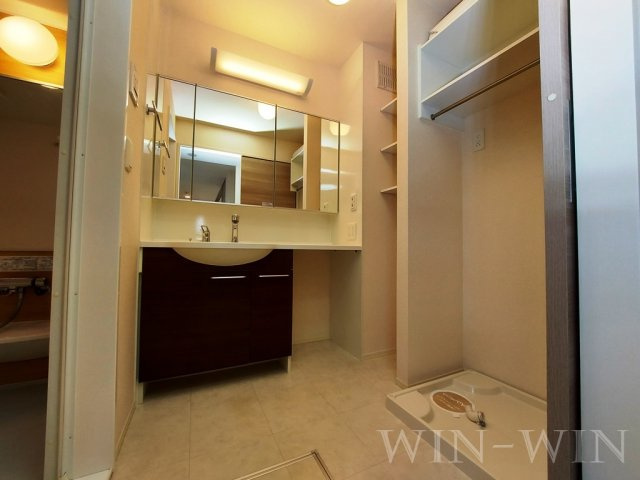 オアシス牛川 Ⅱの洗面所