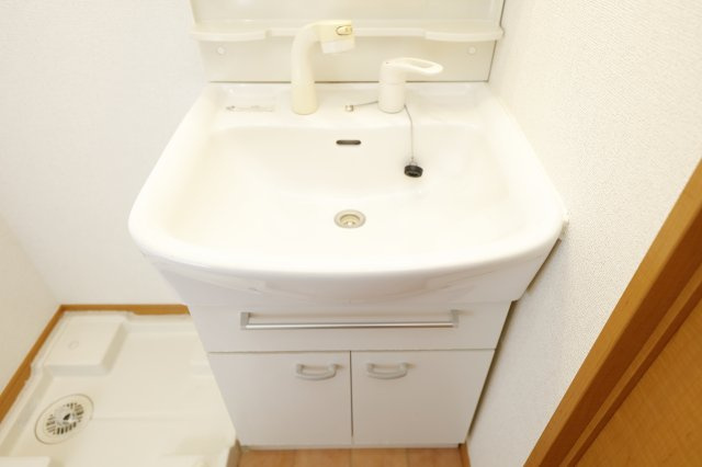グリーンルームイシイの洗面所
