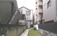 ストロイエ　12971の画像