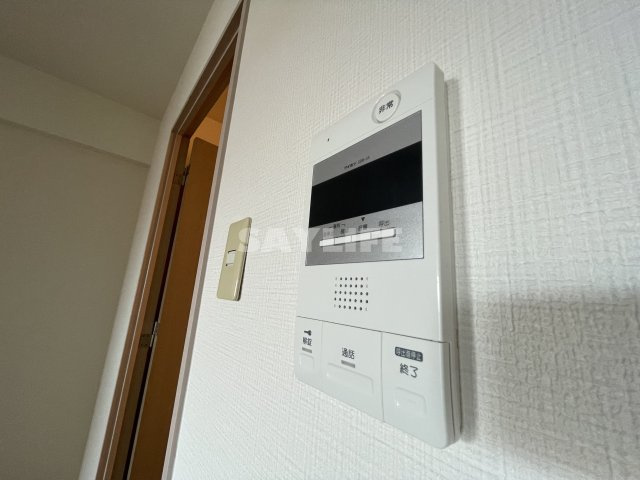 ピアー依奈のセキュリティ