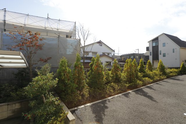 ロード花みずきの展望