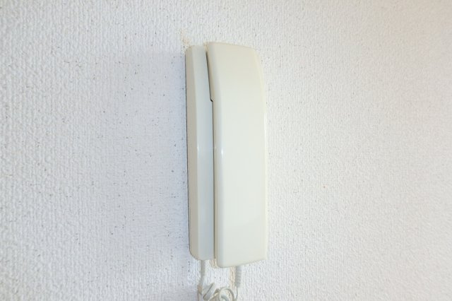 Fortunaのセキュリティ