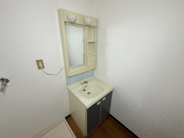 グローバル高田の洗面所