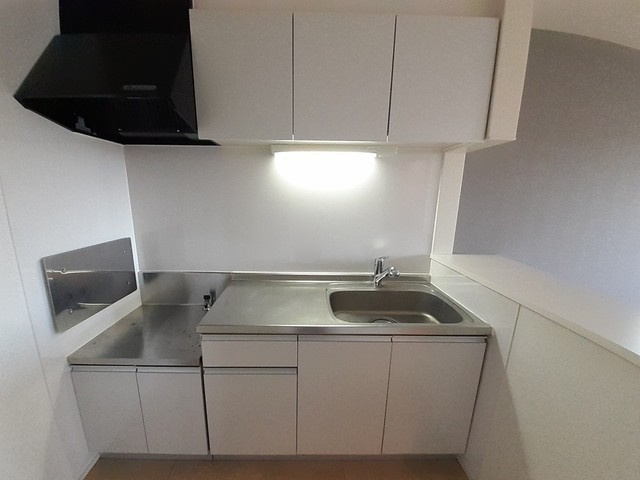 フロイデⅠのキッチン