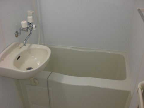 レオネクストハピネスの洗面所