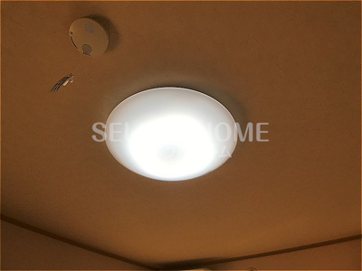  | グローバルＳ