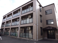 フィネス三冠の画像