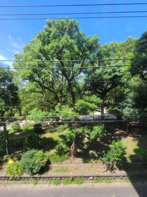 【展望】 | オリンポス隅田公園弐番館