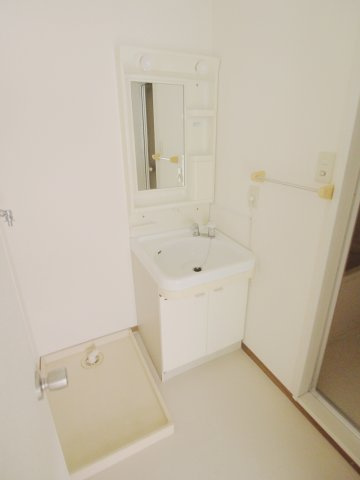 セジュール新谷 B棟の洗面所