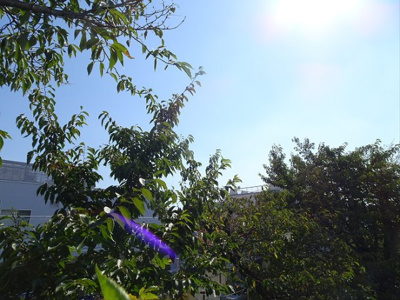 【展望】 | LUCIDA笹塚