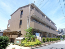 シトラスコートの画像