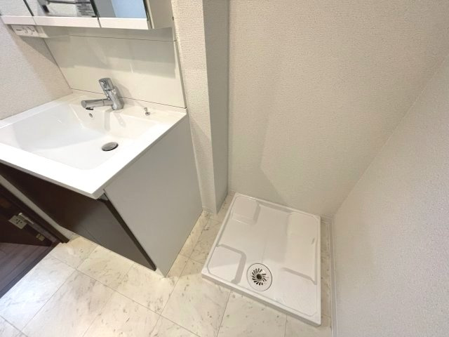 スプランディッド淀屋橋DUEの洗面所