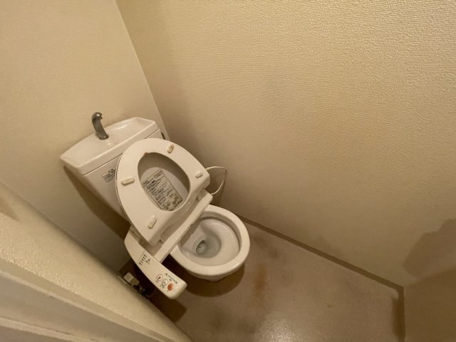 南堀江プライマリーワンのトイレ|イメージとして同建物他部屋を表示しています