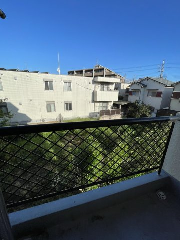 ドミシル乾の展望