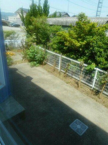 グリーンヒル山下　Ａの庭|お庭です