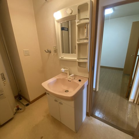 コーポハーバーの洗面所