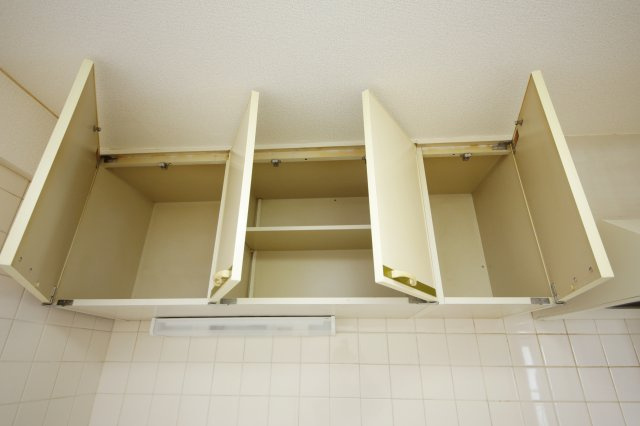 ワイズビルのその他