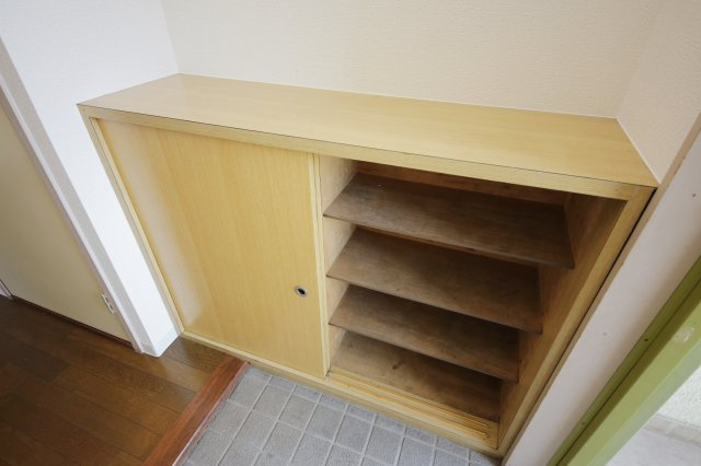 ワイズビルのその他