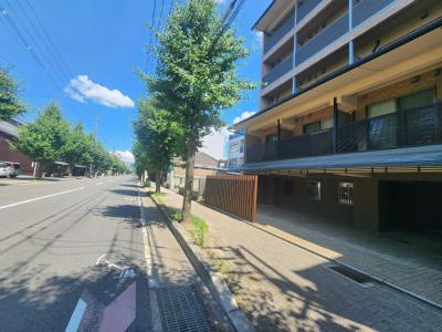 ソフィアブリュー二条の周辺|前面道路