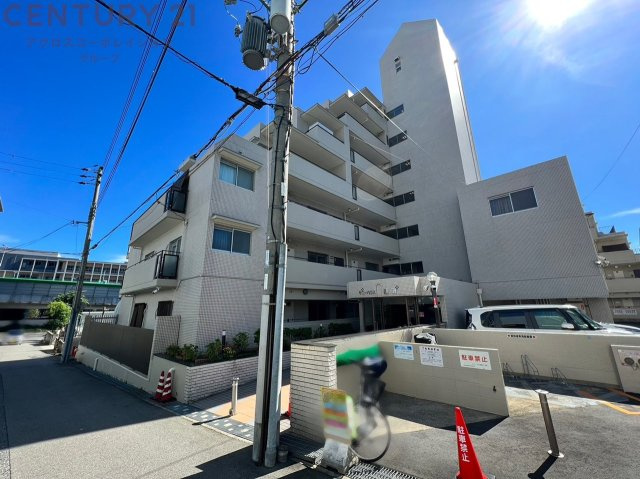 鉄筋コンクリート造7階建て