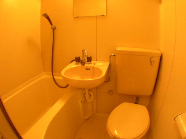 ロイヤルマンションのトイレ