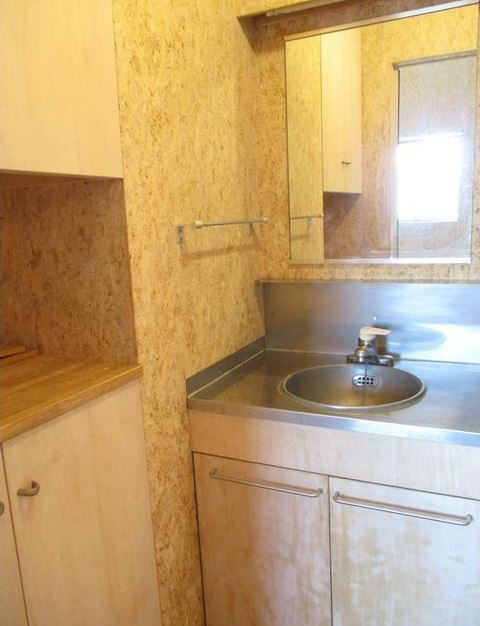 フィーネス壱番館の洗面所