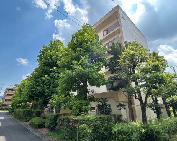 【外観】 | S51651-東大路高野第二住宅第3号棟
