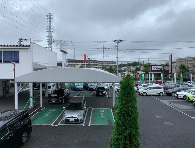 コゥジィーコートの展望