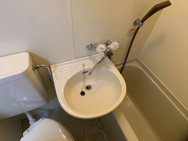 ビクトワール八木の洗面所