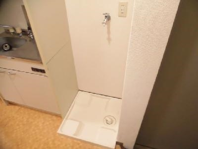 ビレイユ真英四条柳馬場の設備|室内洗濯機置き場