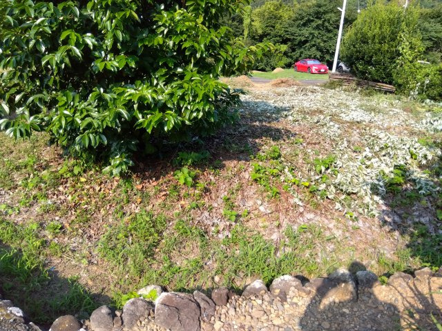 【外観】の画像