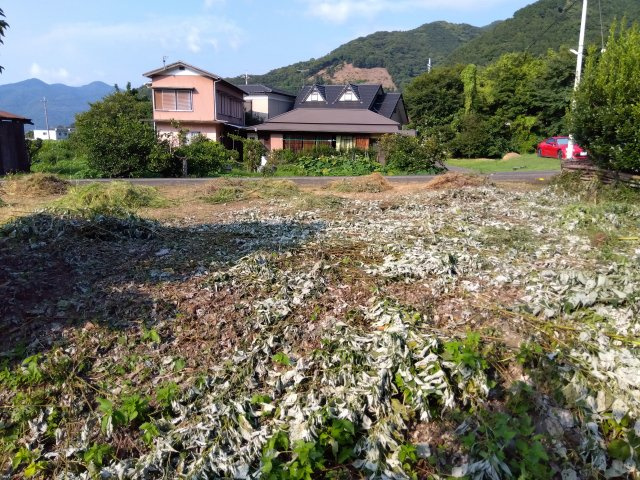 売土地　伊豆市八木沢の外観|緑豊かな場所にあります。自然を身近に感じる事が出来ます。