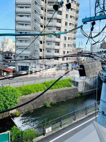 シダーピークの展望