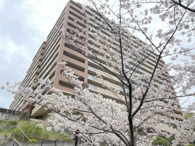 【外観】 | ロイヤルアーク泉ヶ丘 | 桜の季節は近くに桜の名所があります